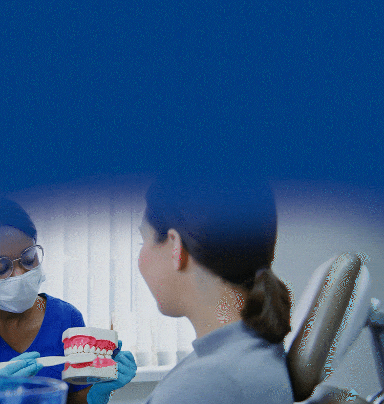 Homepage header image