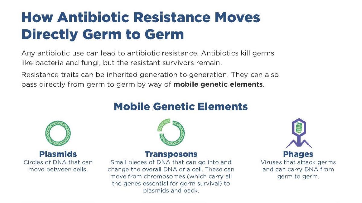 how ar moves from germ-germ