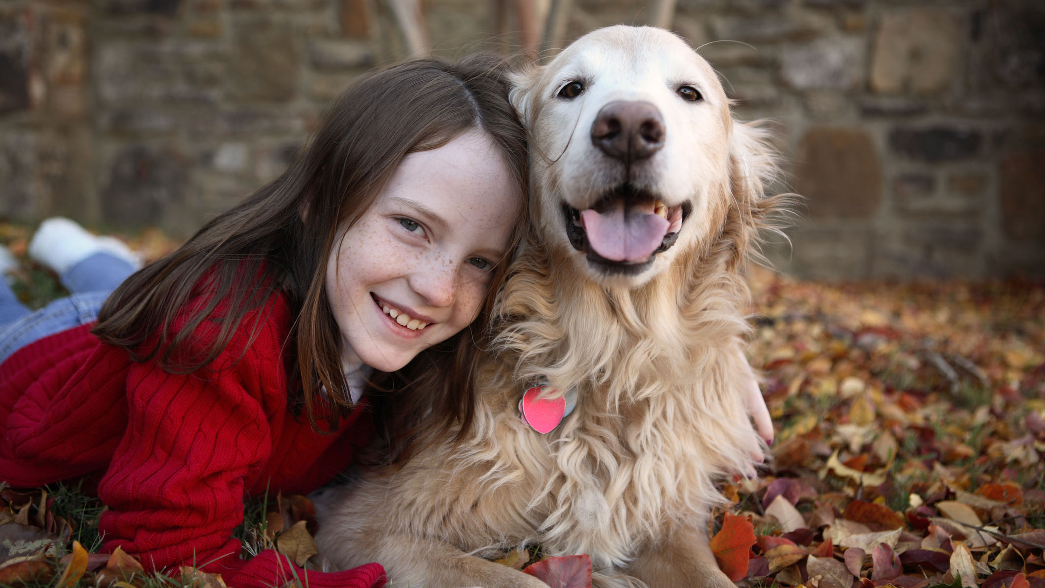 A young girl hugging a dog A young girl hugging a dog