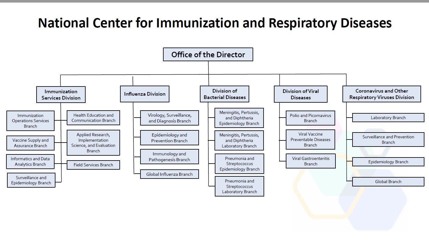 ncird organizational chart