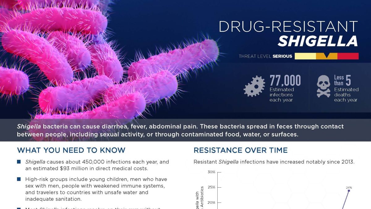 Drug-Resistant Shigella thumbnail