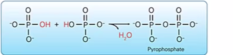ce670 - Images - Fig. 15
